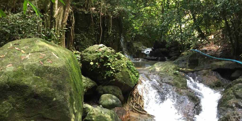 Khao Phra Thaew Royal Wildlife