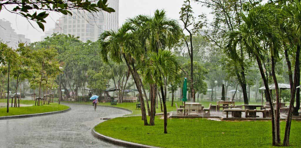 Lumpini Park Bangkok