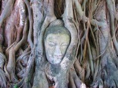 Ayutthaya Historical Park