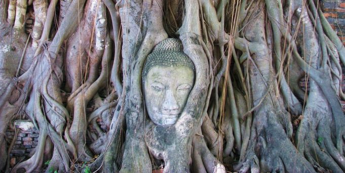 Ayutthaya Historical Park