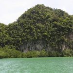 Krabi Environment Image