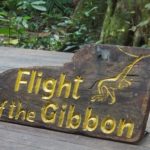 flight of gibbon