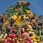 Lopburi Monkey Banquet festival, Thailand