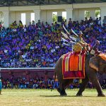 Surin Elephant Festival in Thailand