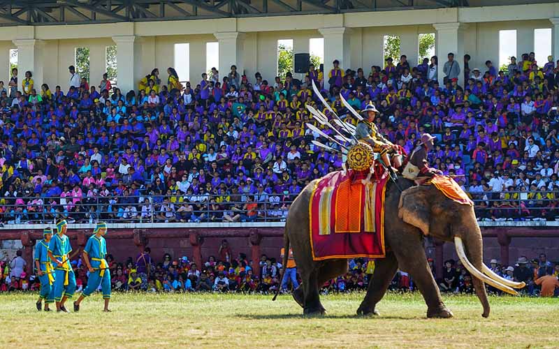 Surin Elephant Festival in Thailand