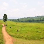 Khao Yai National Park