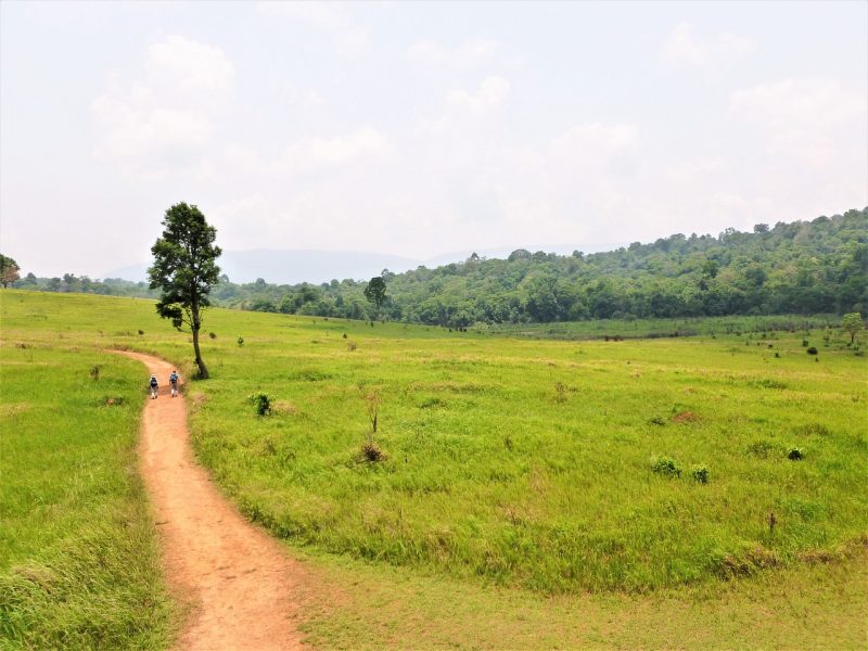 Khao Yahi National Park Thailand