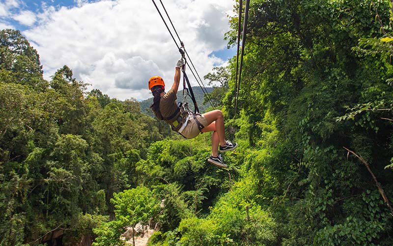 Zipline Adventure