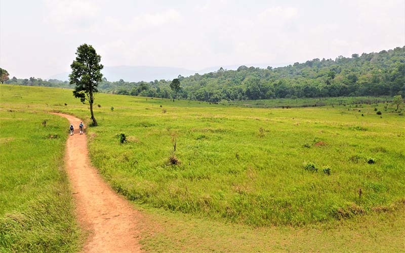 Khao Yai National Park