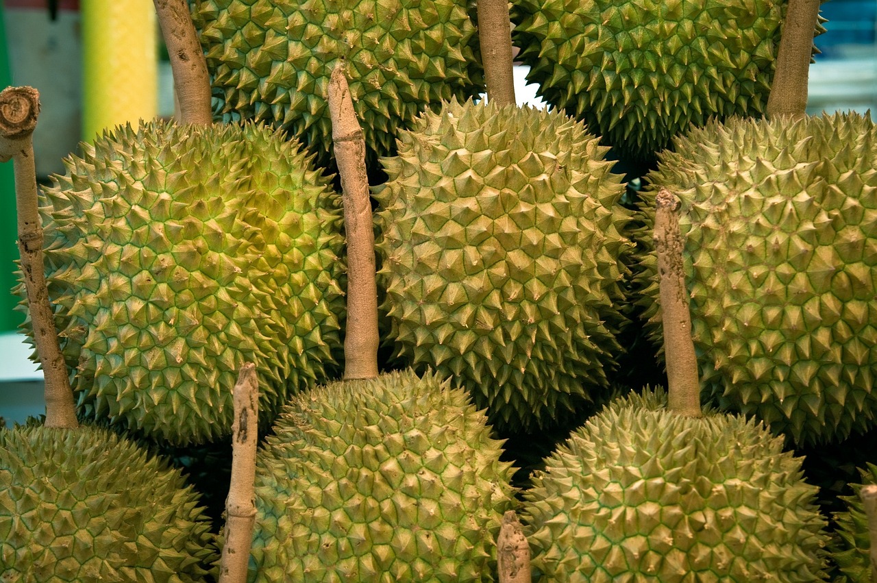 jackfruit