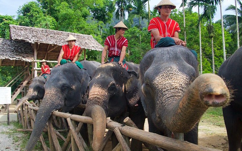 men sitting on elephant