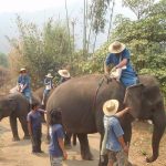 Elephant-Trekking