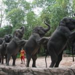 elephant-world