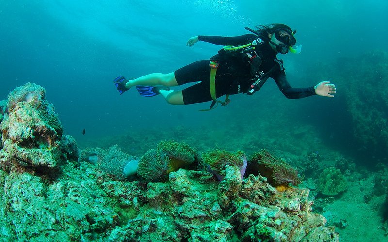 women doing scuba diving